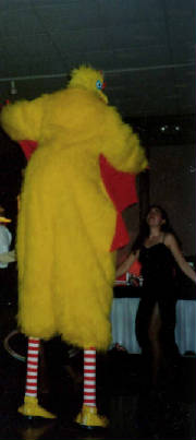 8ft.-chicken-555-27.jpg