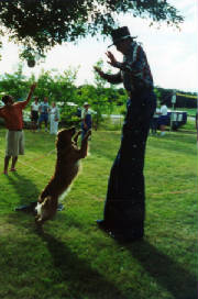 9ft.-cowboy-114.jpg