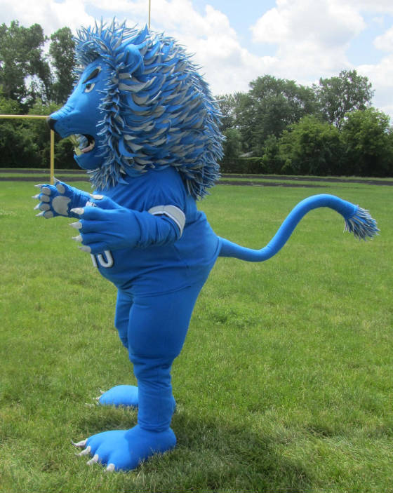 Blue-Lion_109k.jpg