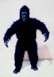 yellow-gorilla-6001B.jpg
