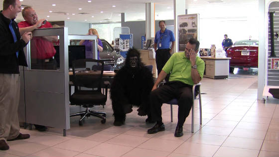 Gorilla_Black_62013n.jpg