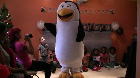 Penguin-12220125.jpg