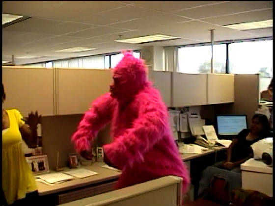 PinkGorilla-_Officegirl_88m.jpg