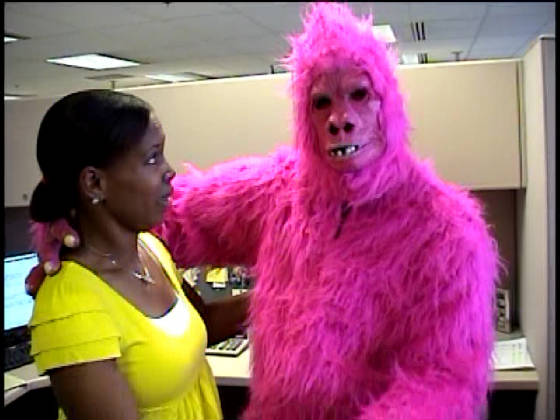 PinkGorilla-_Officegirl_88m.jpg