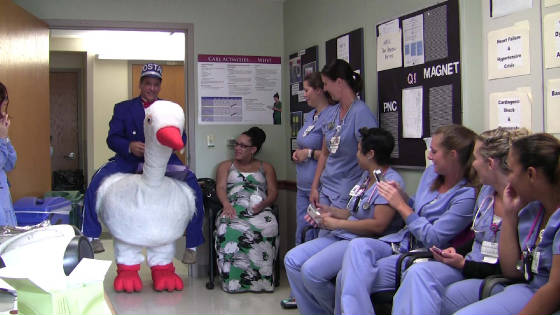 STORK_Beaumont_Hospital-09052014v.jpg