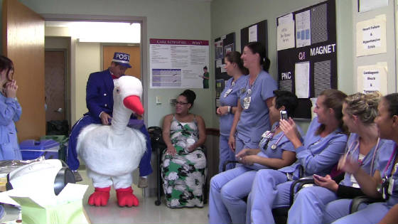 STORK_Beaumont_Hospital-09052014v.jpg