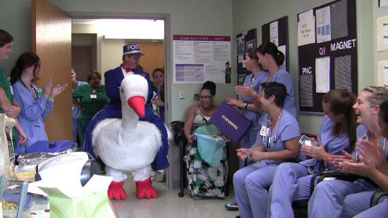 STORK_Beaumont_Hospital-09052014y.jpg