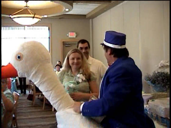 StorkShow_-422zg.jpg