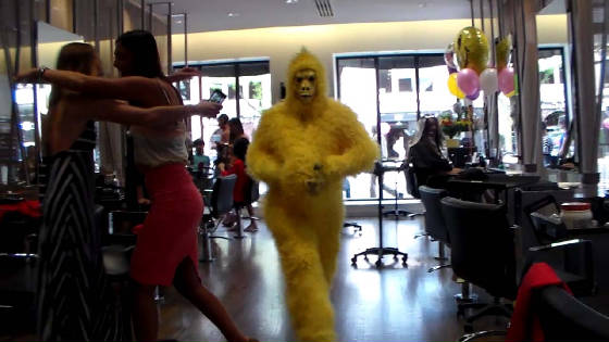 Yellow_Gorilla_BeautySalon_900z.jpg