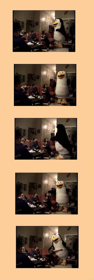 penguin-345.jpg