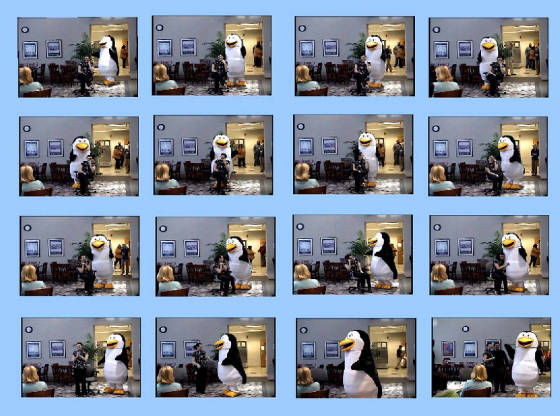 penguin-909.jpg