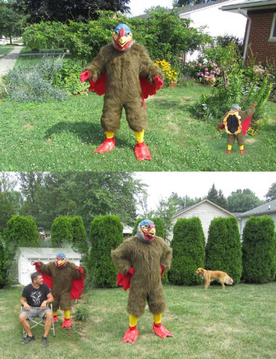 turkey1.jpg
