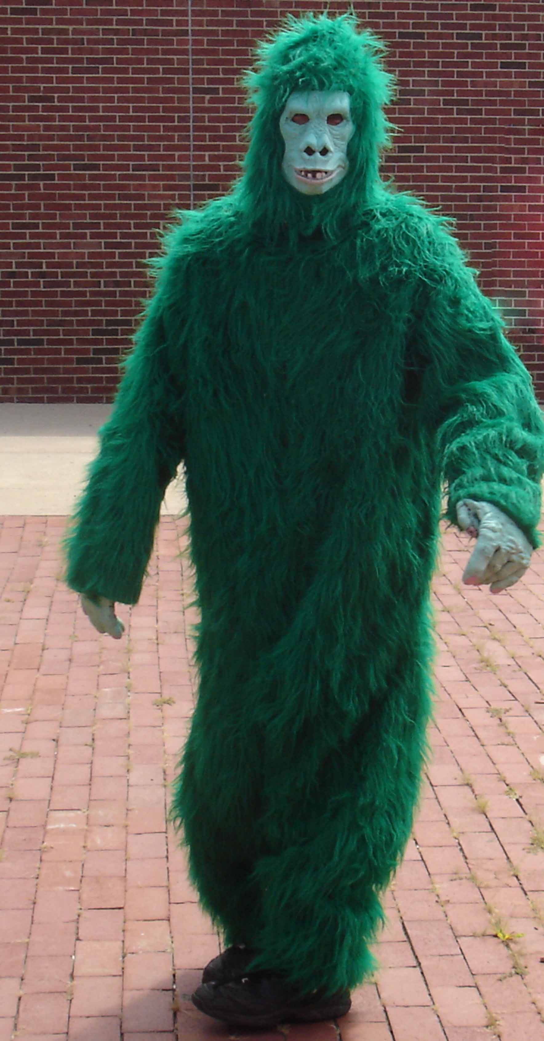 0001greenj.jpg