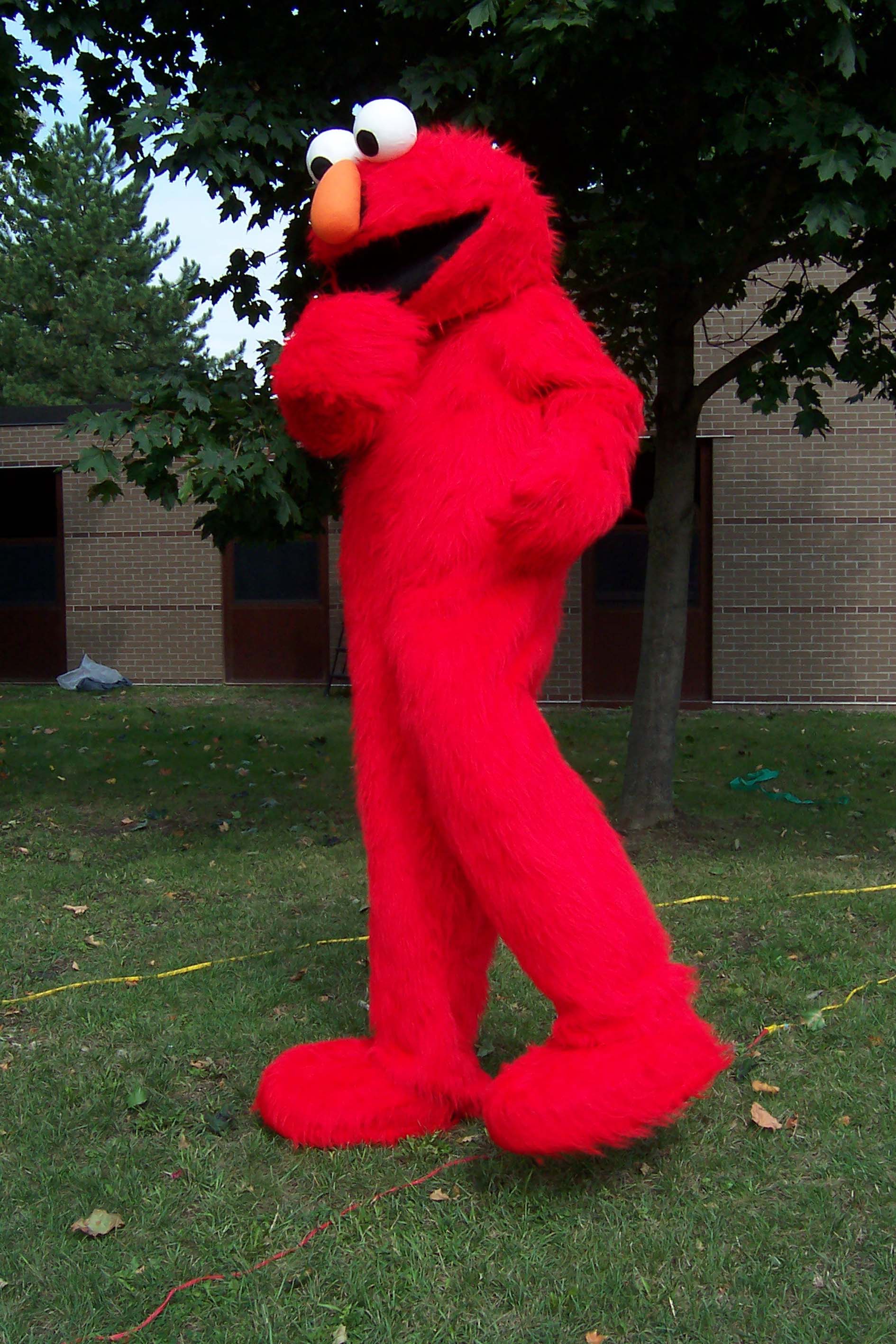 2_9Ft_Elmo_9.jpg