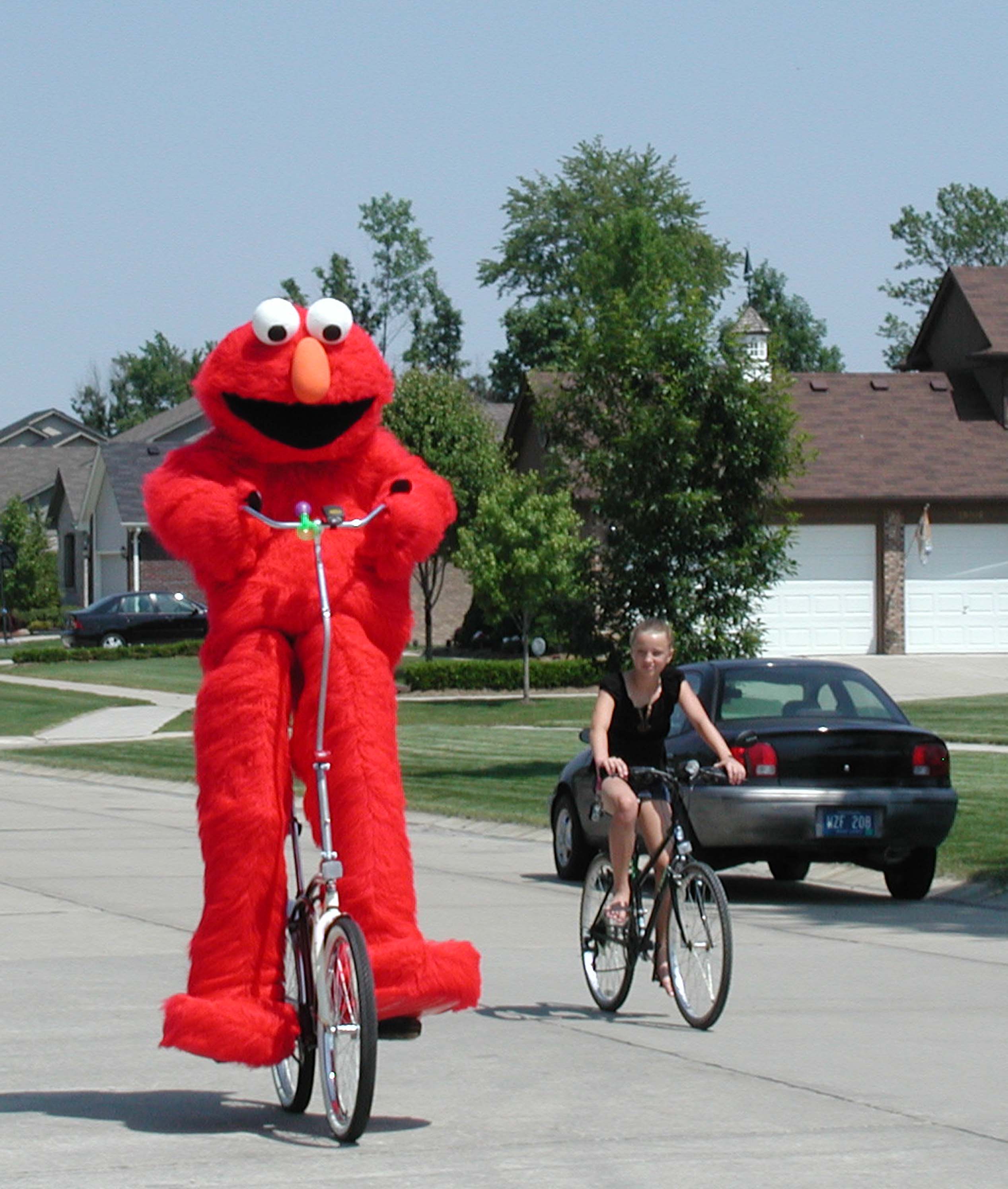 2_9Ft_Elmo_9.jpg