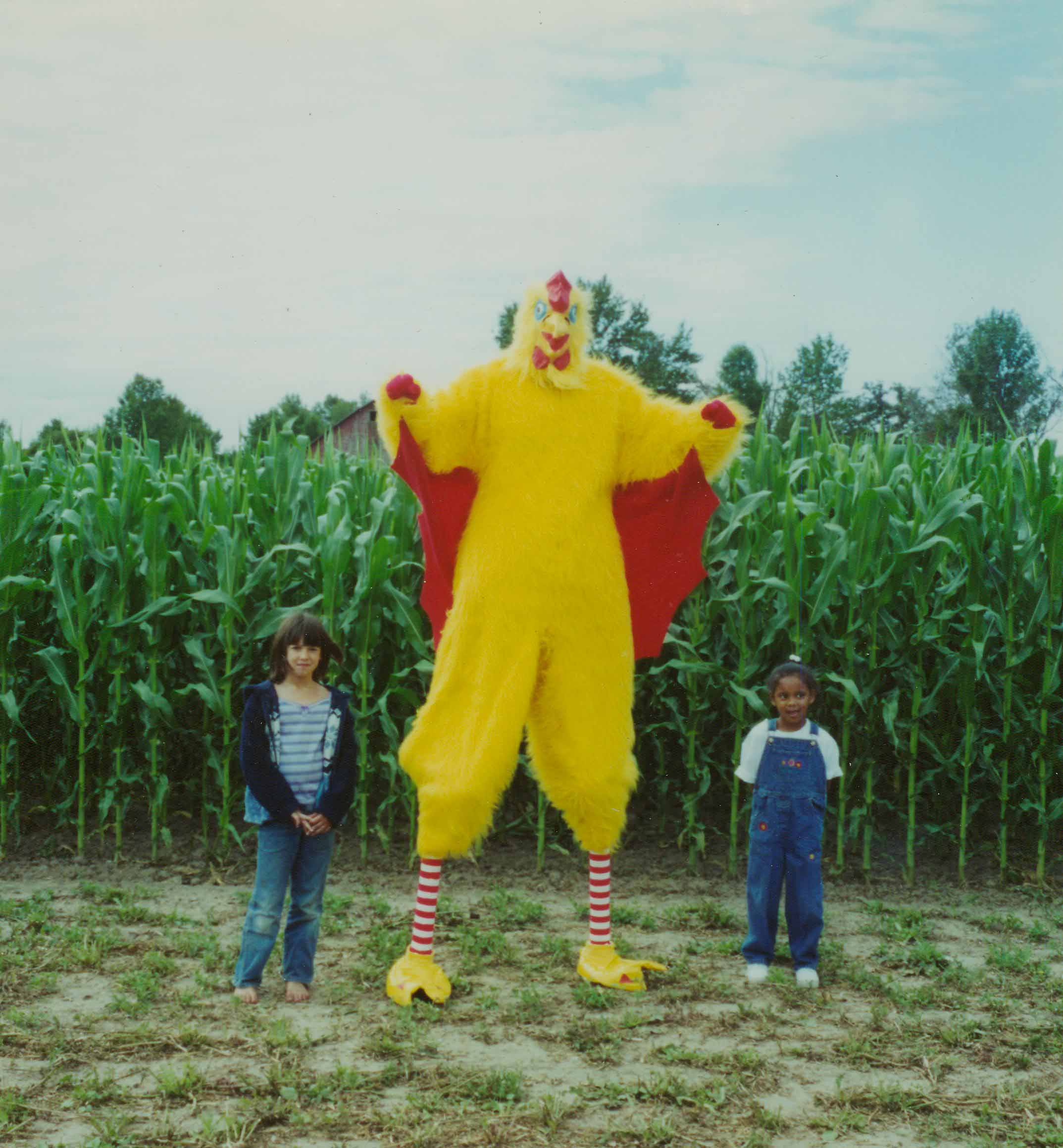 8ft.-chicken-555-11.jpg