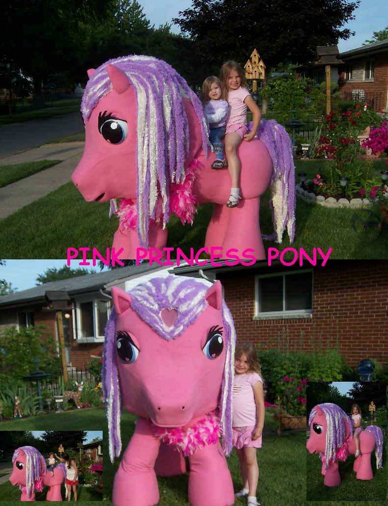 PINK-PRINCESS-PONY-001.jpg