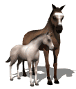 ani-horse2687.gif