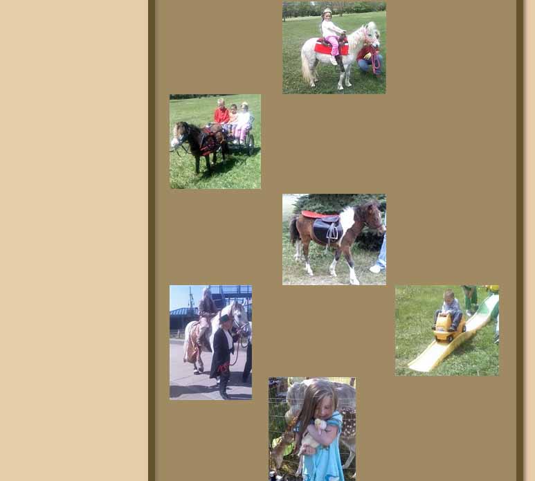 chamberlin-animal-rides-04.jpg
