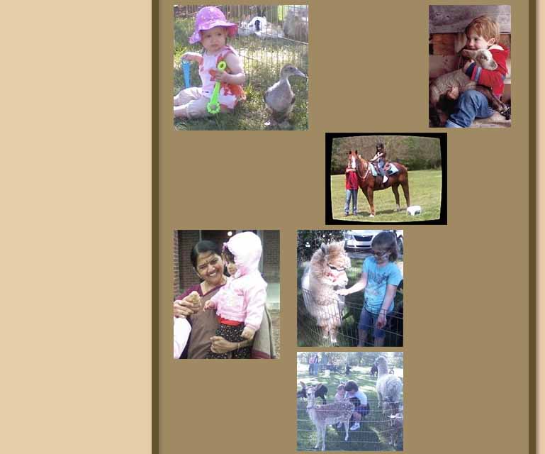 chamberlin-animal-rides-05.jpg