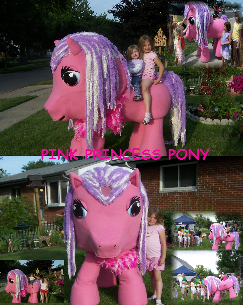 pinkpony21z.jpg