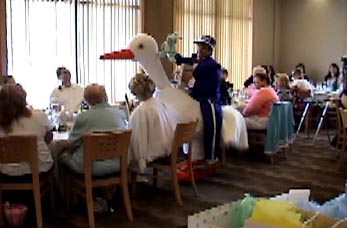 stork-indoors-18.jpg